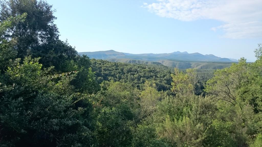 Plettenberg Bay Game Reserve: The Baroness Safari Lodge Exterior foto