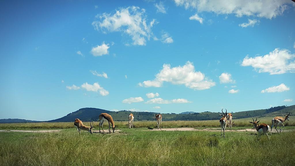 Plettenberg Bay Game Reserve: The Baroness Safari Lodge Exterior foto